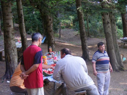 AKP de Piknik Şöleni