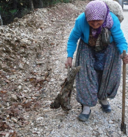 Veliye Yılmaz (77) Yürümekten Yılmıyor