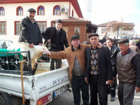 Taraklı'da Hindi Fiyatları 150 ile 200 Lira Arasında Değişiyor