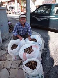 Bayram Tatlıları Ceviz Satışlarını Arttırdı