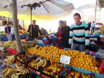 Taraklı Pazarı Bu hafta Harekeliydi.