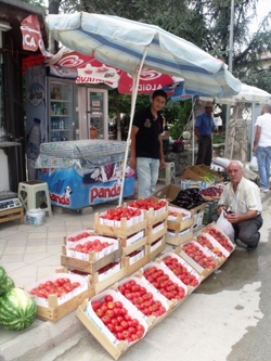 Taraklı'da Ürünler Tarladan Tüketiciye Sunuluyor