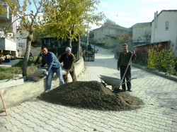 Taraklı Güzelleşiyor