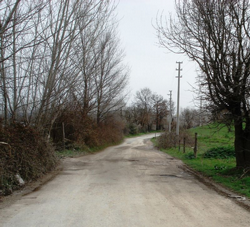 Taraklı da Yollar Köstebek Yuvası