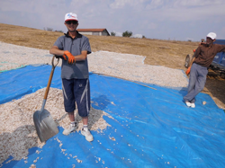 Akçapınar Köyünde Ayçiçeği Kalitesi Yüzleri Güldürüyor