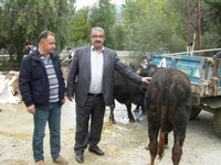 SEMERKAND Vakfı Gönüllüleri Tarafından Kurban Kesimi Hizmeti Verildi.