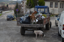 Objektifimize Takılan....