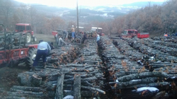 Mahalle’linin Yakacak Odun telaşı…