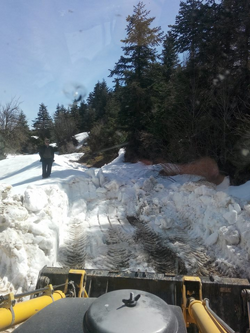 Yayla Yolu Temizlendi