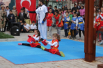 Cumhuriyet Bayramında Müthiş Wushu Gösterisi