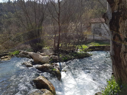 Derelerde Islah Çalışmaları Yapılacak