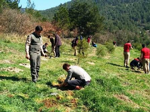 TARAKLI’DA 21-27 MART ORMAN HAFTASI KUTLANDI