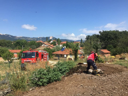 Eşek Gübre Çukuruna Düştü