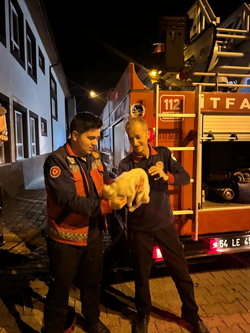 Taraklı’da Çatıda Mahsur Kalan Kedi, İtfaiye Ekiplerince Kurtarıldı