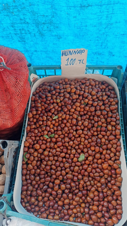 Doğal Ürünler, Aile Ekonomisine Katkı Sağlıyor