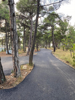 Hıdırlık Tepesi Yolu Asfaltlandı, Yeni Mesire Alanı Yolda!